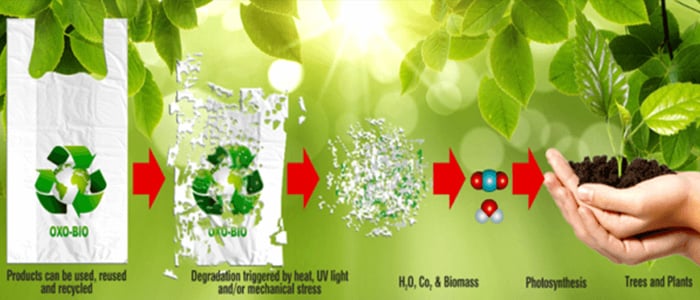 bio degradable bags 
