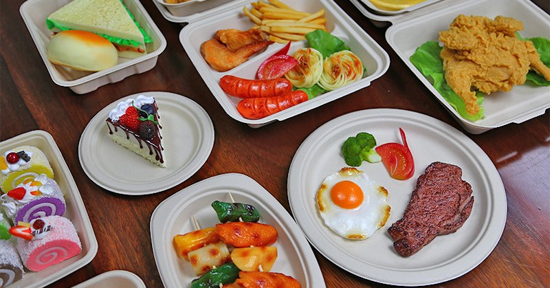 Sugarcane bagasse tableware