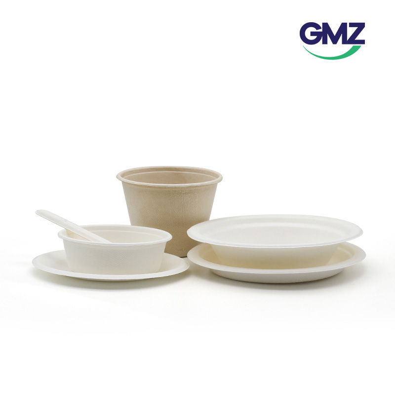 biodegradable bagasse food container