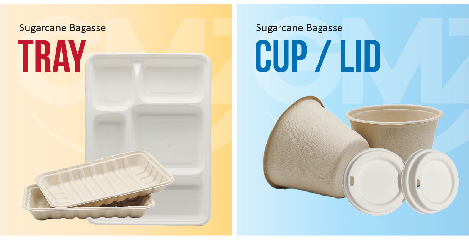 Sugarcane food Plate