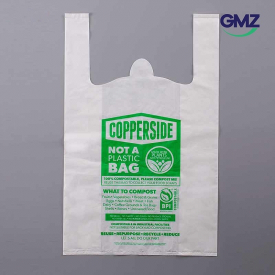 Custom Printed Plastic Shopping Bag Carrier Bag T-Shirt Bag - China  Biodegradable Shopping Bag and Plastic Shopping Bags Biodegradable price