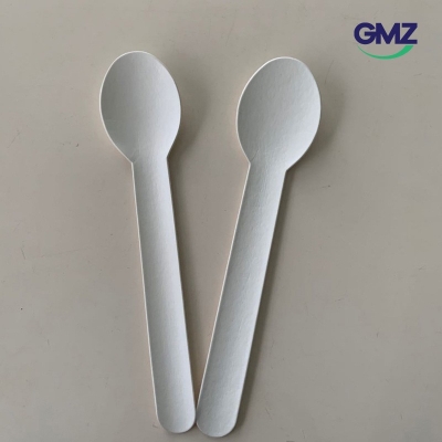 Paper  Cutlery