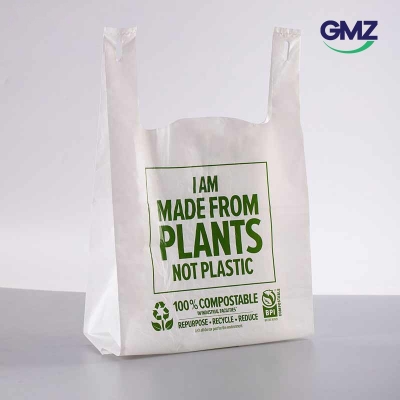 Compostable Shopping bag
