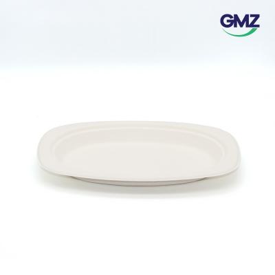 Surgarcane bagasse products