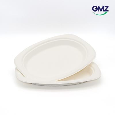 Surgarcane bagasse products