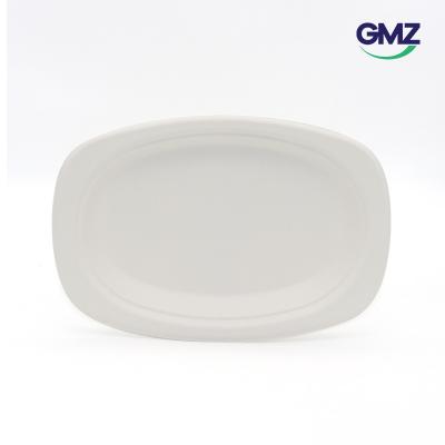 Surgarcane bagasse products
