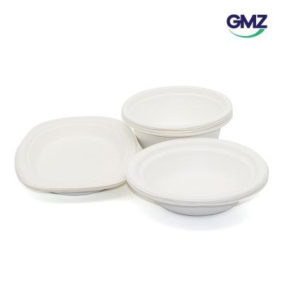 Surgarcane bagasse products