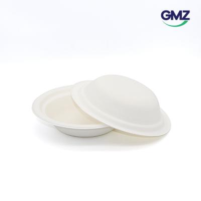 Surgarcane bagasse products