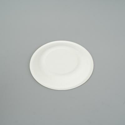 Biodegradable Bagasse Clamshell Container