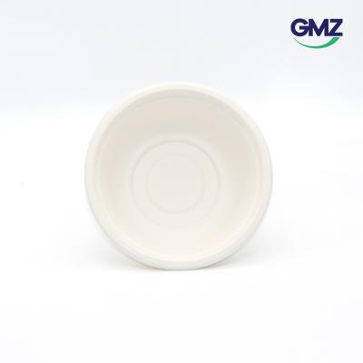 Surgarcane bagasse products