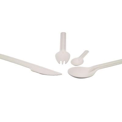 Surgarcane bagasse products