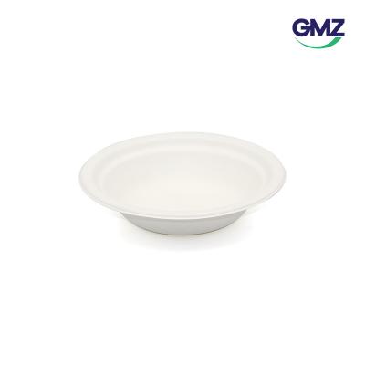 Surgarcane bagasse products