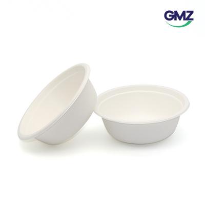 Surgarcane bagasse products