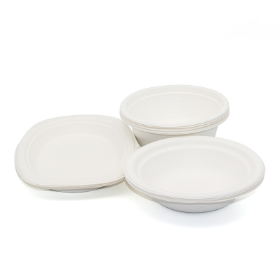 Biodegradable sugarcane Bagasse Paper Cutlery