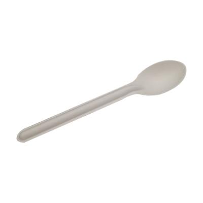 Biodegradable sugarcane Bagasse Paper Cutlery