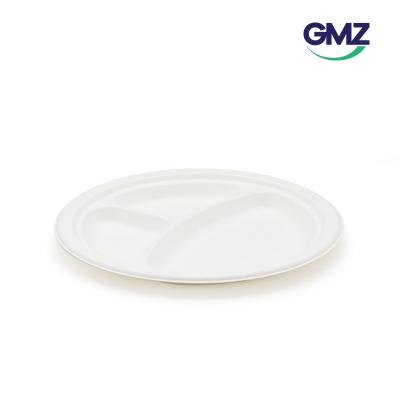 Surgarcane bagasse products