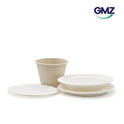 Disposable Sugarcane Bagasse Soup Cup