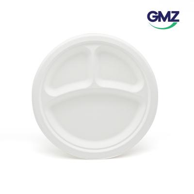 Surgarcane bagasse products