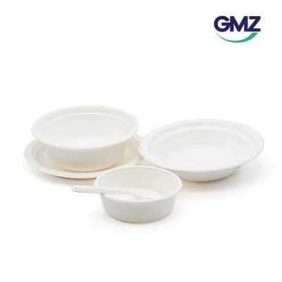 Biodegradable Plate and bowl