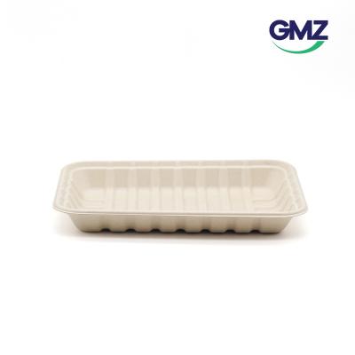 Sugarcane bagasse Sushi Tray