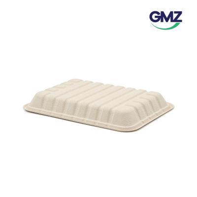 Sugarcane bagasse Sushi Tray