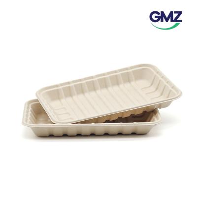 Sugarcane bagasse Sushi Tray