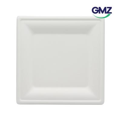Sugarcane bagasse Sushi Tray