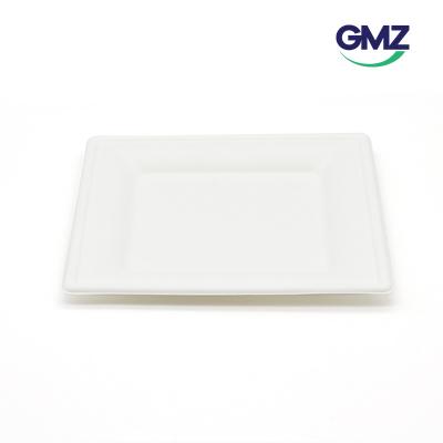 Sugarcane bagasse Sushi Tray