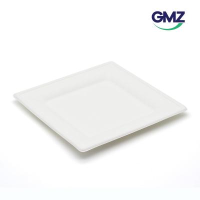 Sugarcane bagasse Square Plate