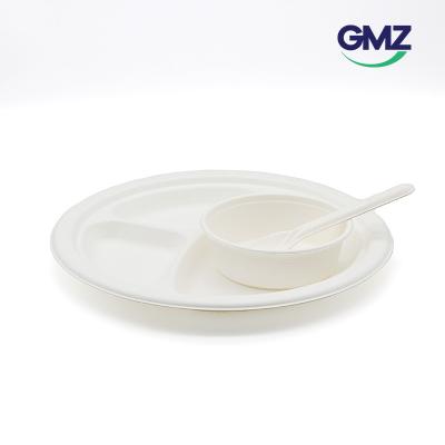 Sugarcane bagasse Sushi Tray
