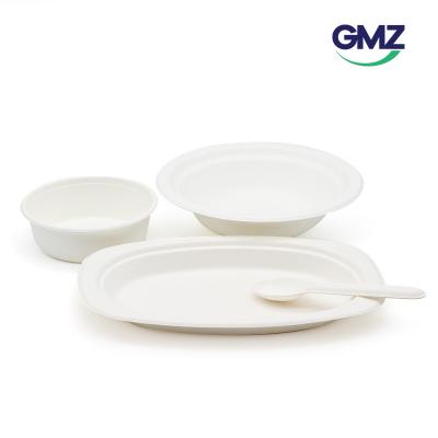 Sugarcane bagasse Salad bowl